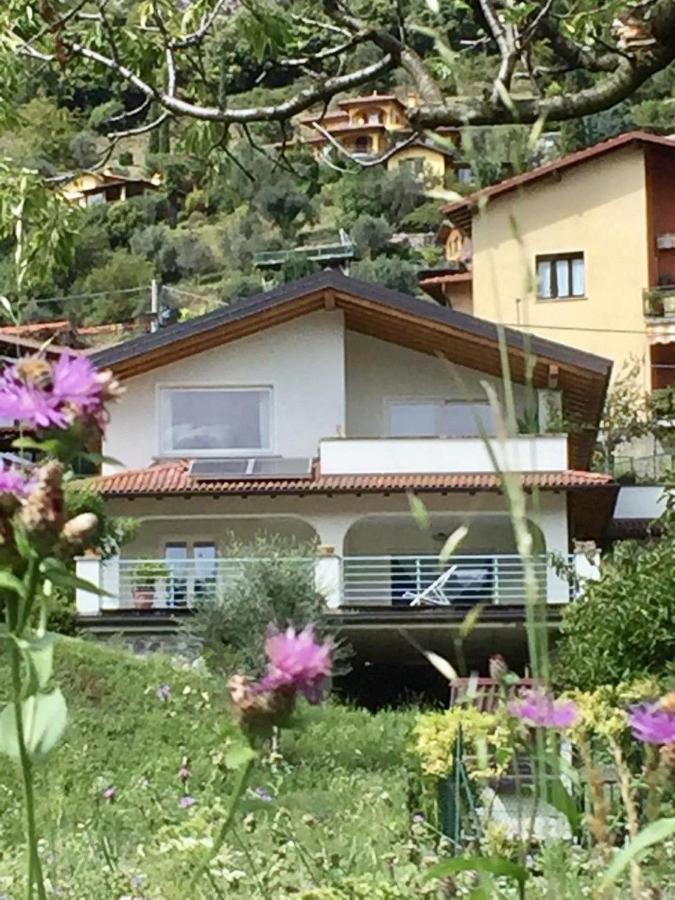 Villa 3 Olivi - Lenno By Lovecomo Eksteriør billede